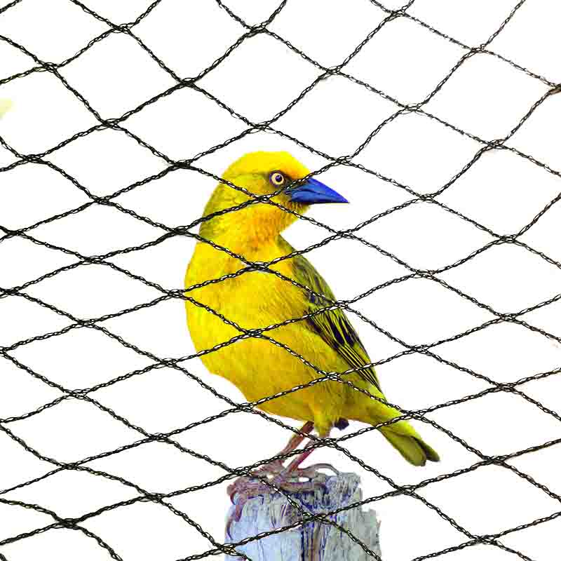 Welche Farben eignen sich für Vogelschutznetze?