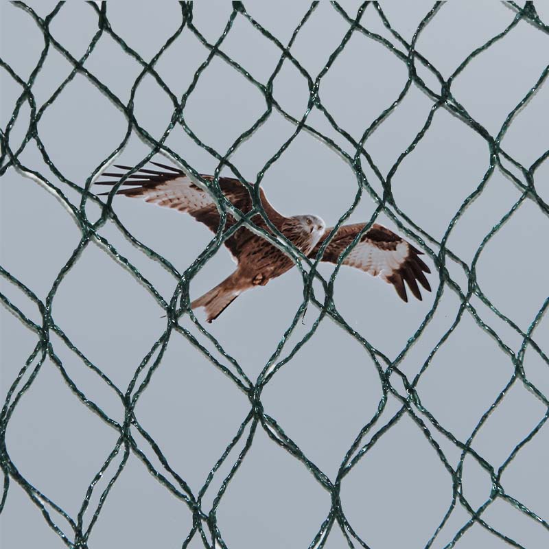 Was sind die Materialauswahl sowie die Vor- und Nachteile von Vogelschutznetzen?