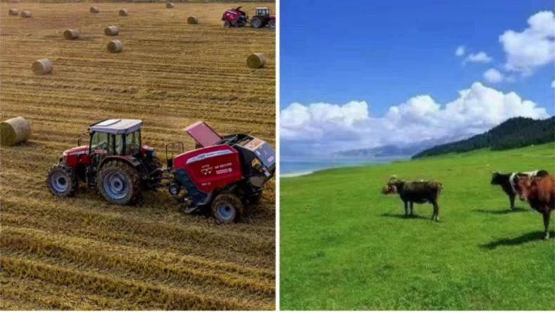 Die Anwendung von Ballennetzen in der Landwirtschaft