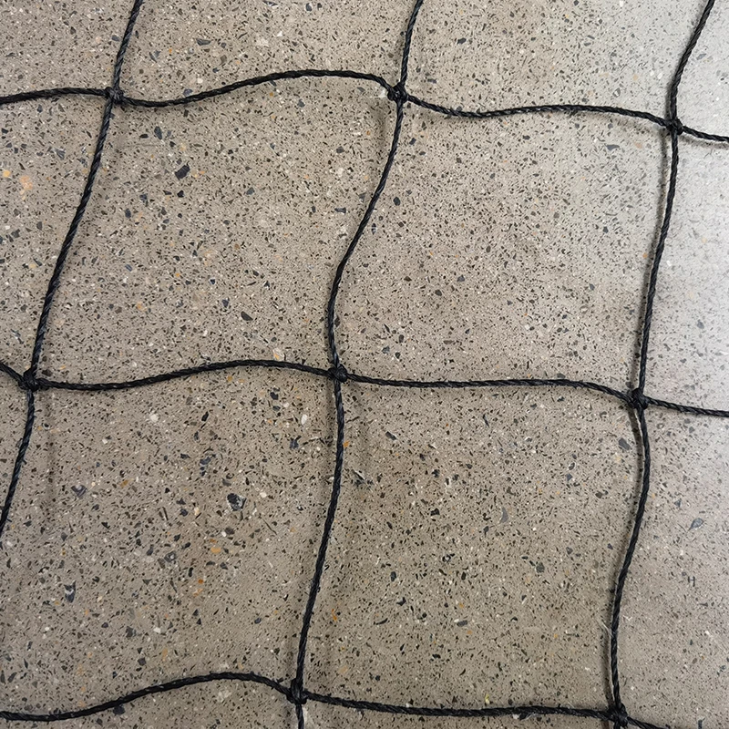 Die Rolle von Cricketnetzen