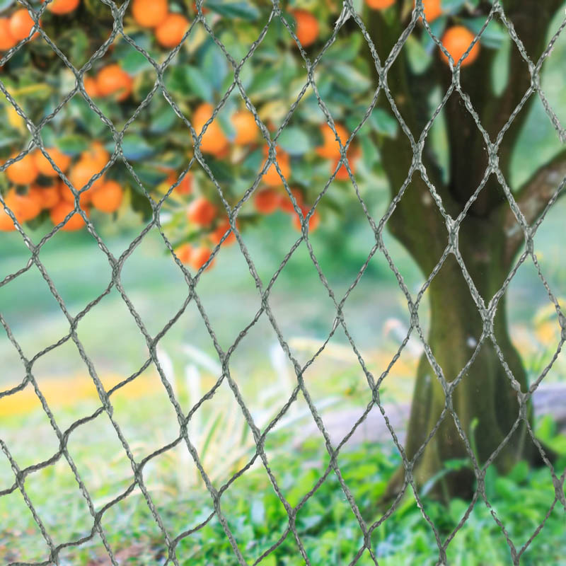 Schützen Sie Ihre Ernte, Ihr Eigentum und Ihre Investition mit unserem robusten Vogelschutznetz!