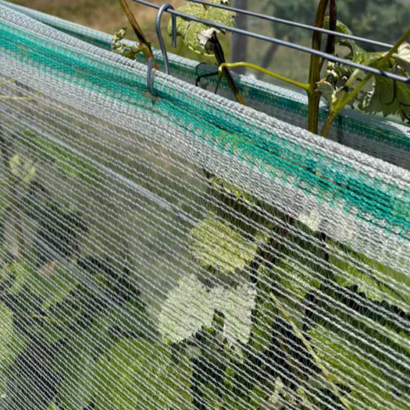 Landwirtschaftliches HDPE-Hagelschutznetz