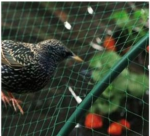 Vogelschutznetz für Balkon