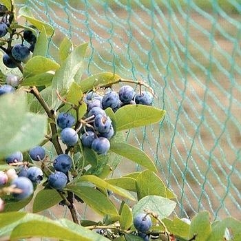 Vogelschutznetz