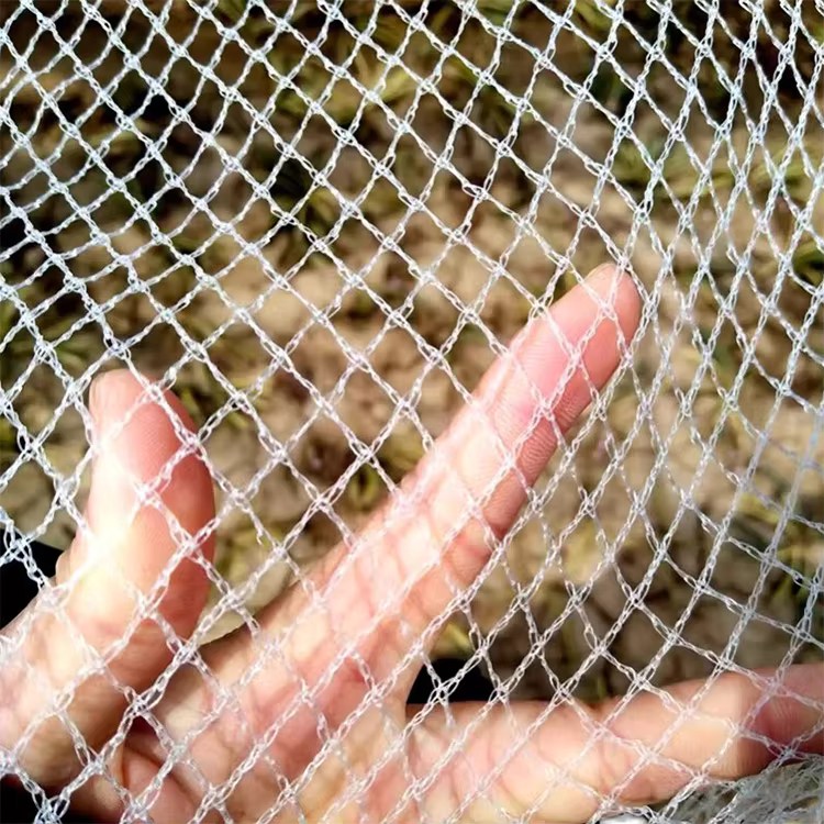Anti-Hagel-Vogelschutznetz aus Polyethylen mit Kunststoffgeflecht, maßgeschneidert für die Landwirtschaft