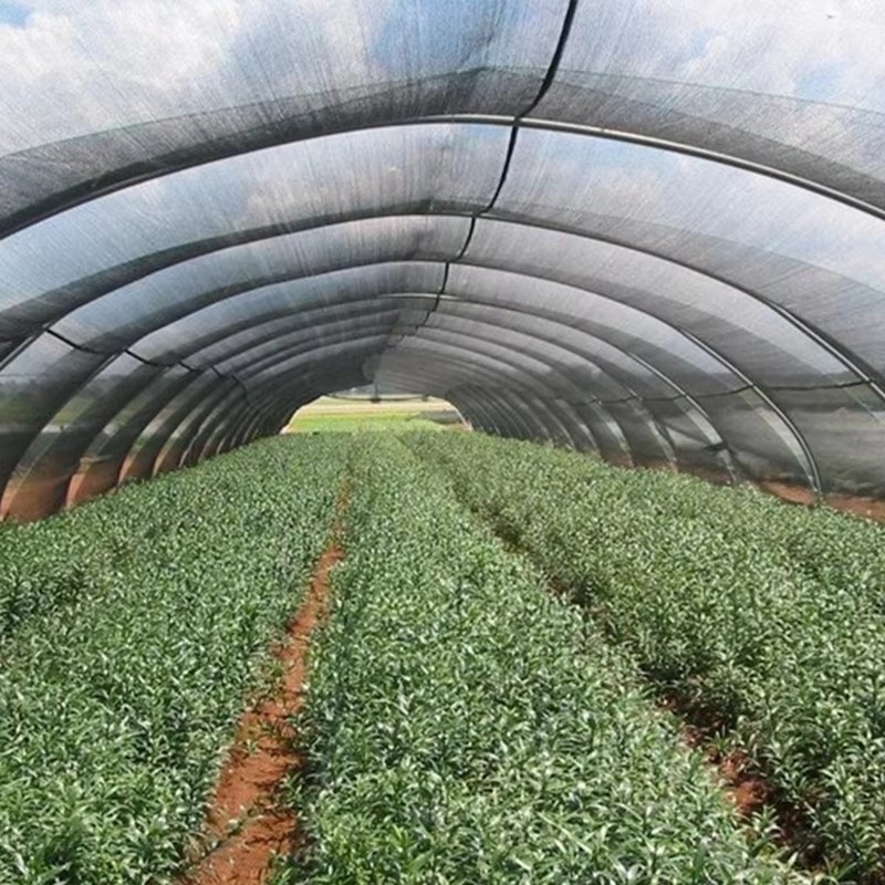 Garten-Schattentuch für Pflanzen, das 40 % Sonnenschein blockiert