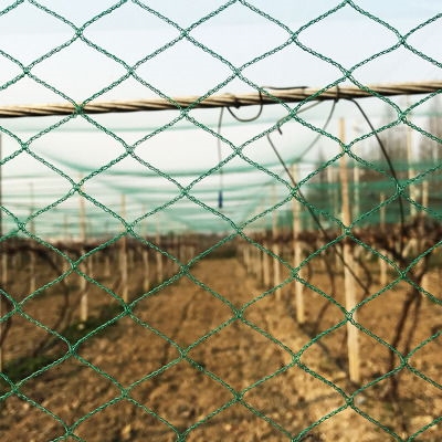 Vogelschutznetz für Gewächshäuser